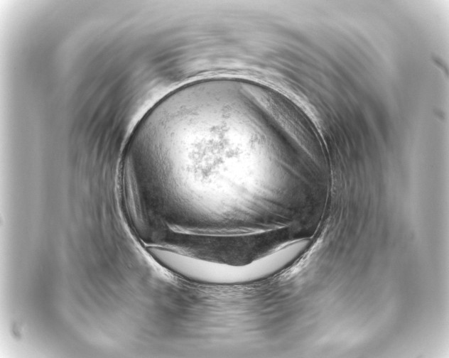 X0000093421533200711021005