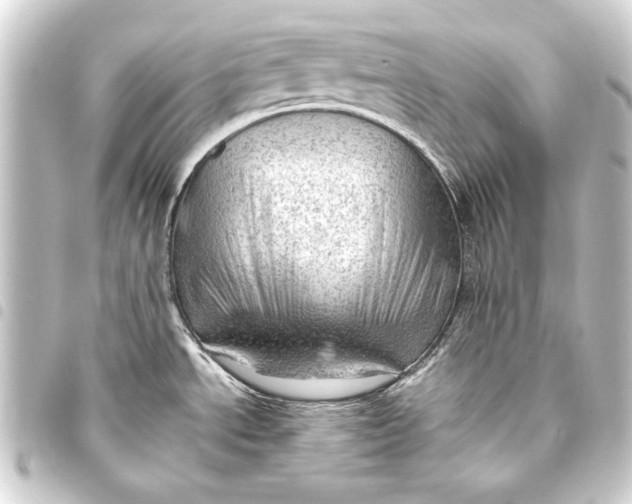 X0000093421534200711021005