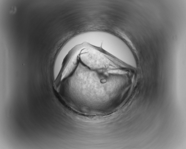 X0000093420019200711091425