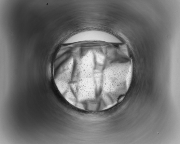 X0000093420020200711091425