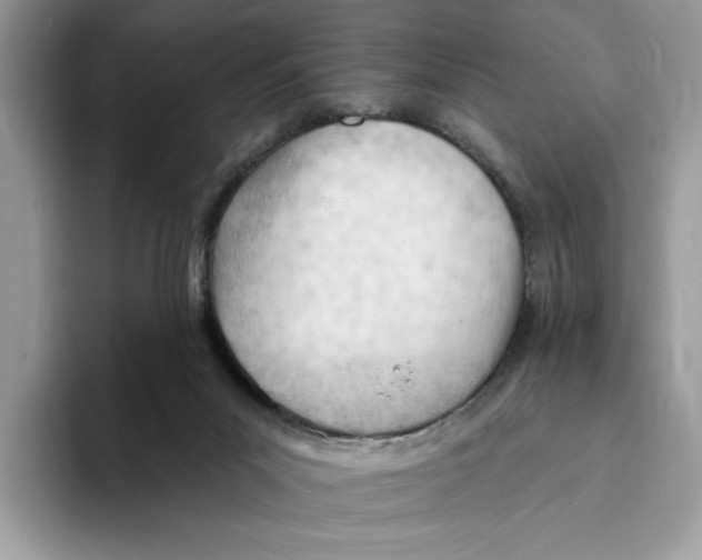 X0000093420023200711091425