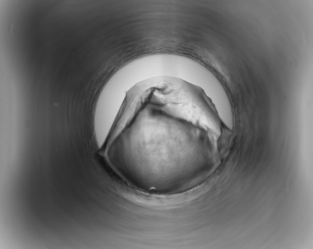 X0000093420027200711091425