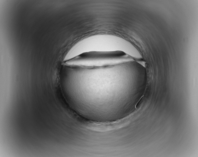 X0000093420029200711091425