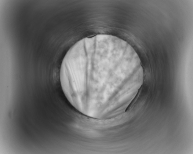 X0000093420043200711091425