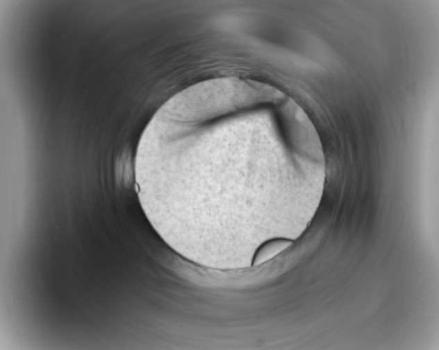 X0000093420046200711091425