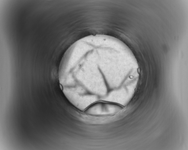 X0000093420048200711091425