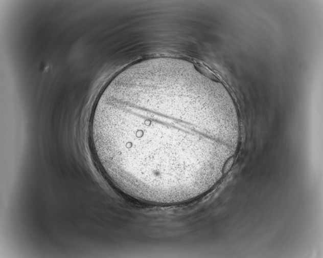 X0000093420049200711091425