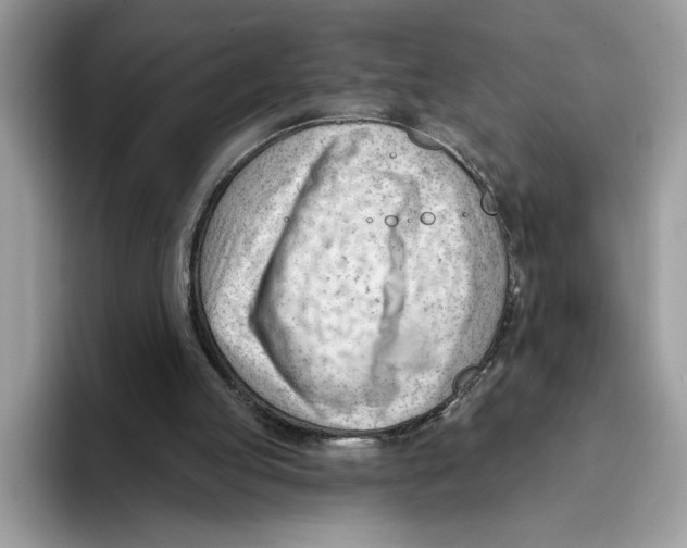 X0000093420053200711091425