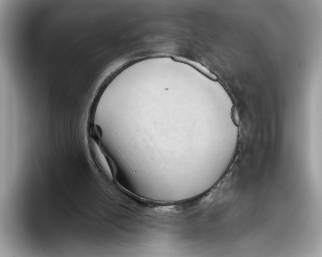 X0000093420054200711091425