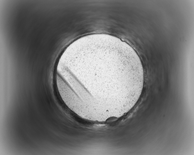 X0000093420055200711091425