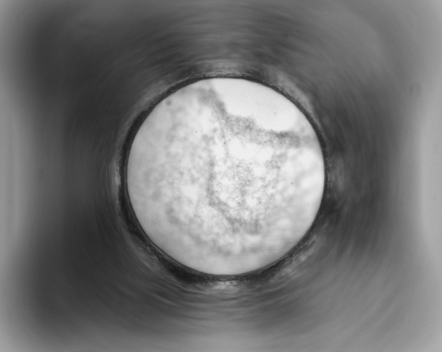 X0000093420059200711091425