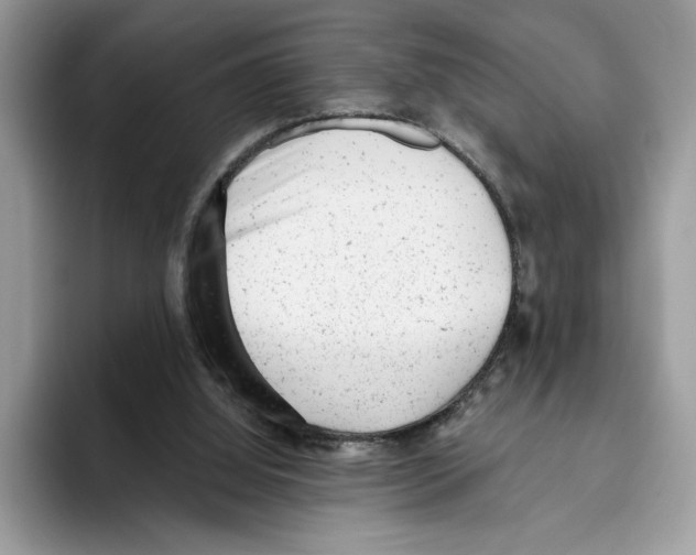 X0000093420060200711091425