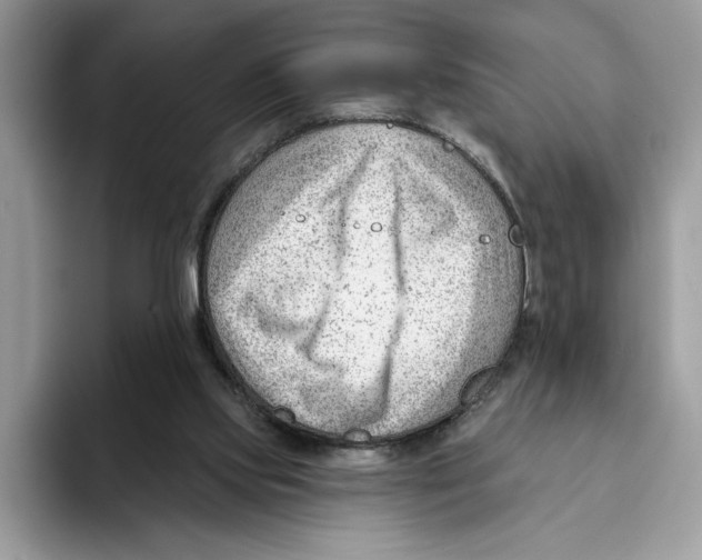 X0000093420061200711091425