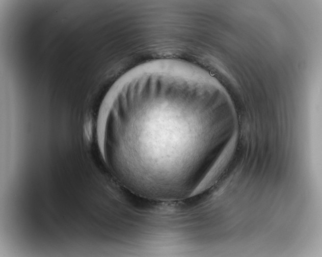 X0000093420076200711091425