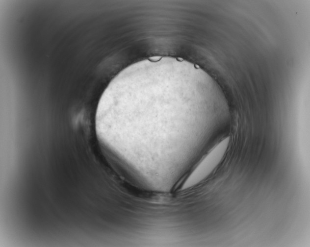 X0000093420080200711091425