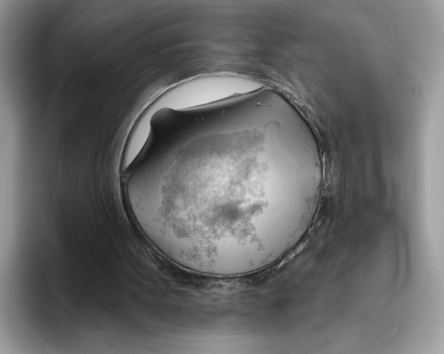 X0000093420099200711091425