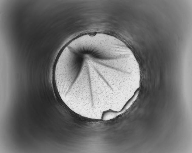 X0000093420100200711091425