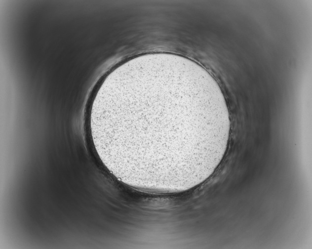 X0000093420104200711091424