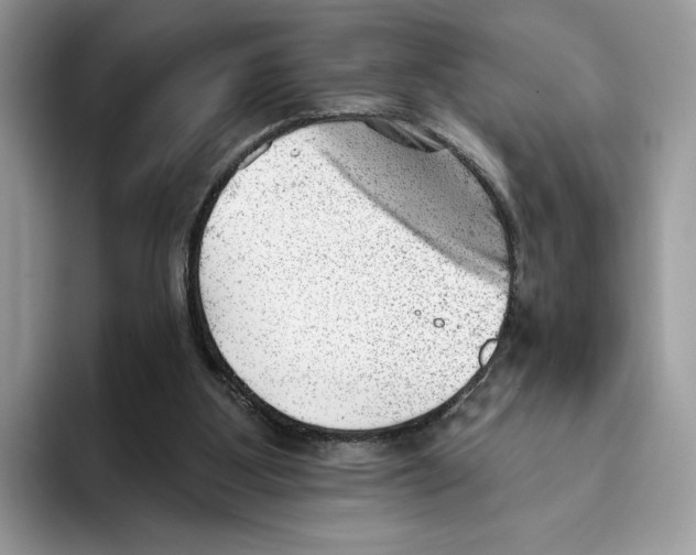 X0000093420107200711091424