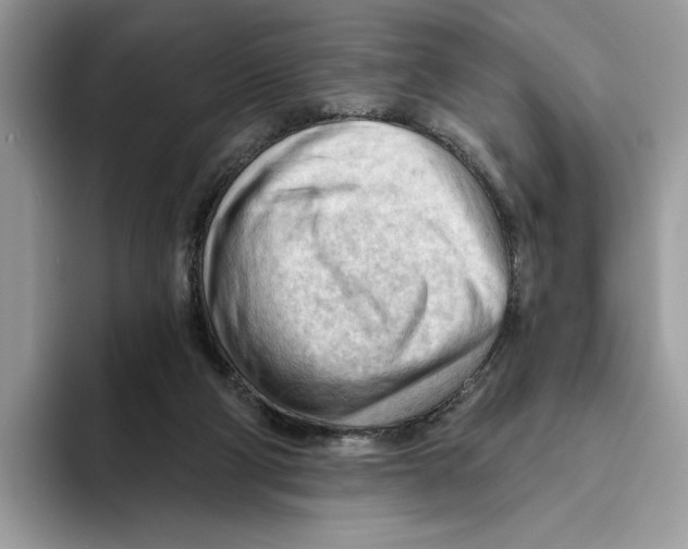 X0000093420114200711091424