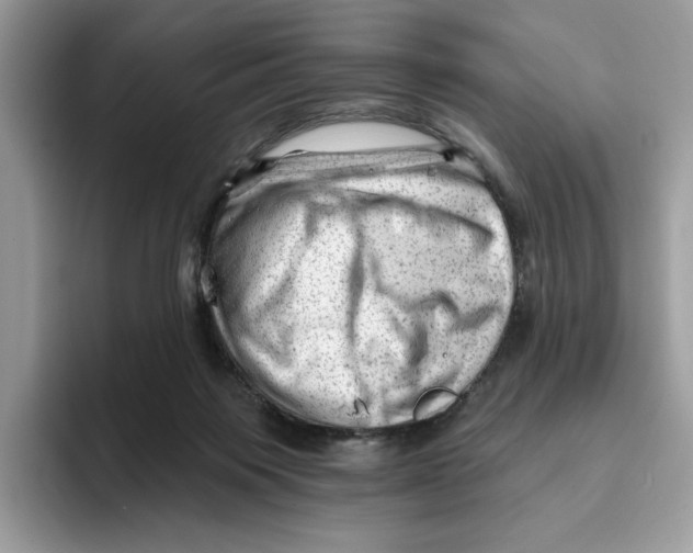 X0000093420119200711091424