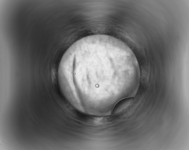 X0000093420130200711091424