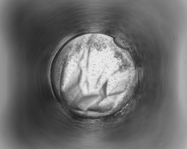 X0000093420147200711091423