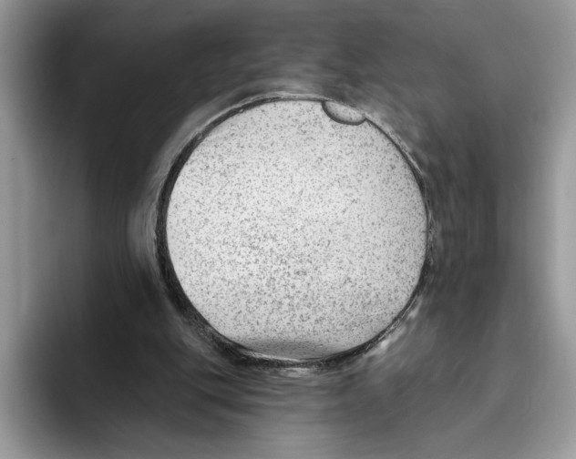 X0000093420151200711091424