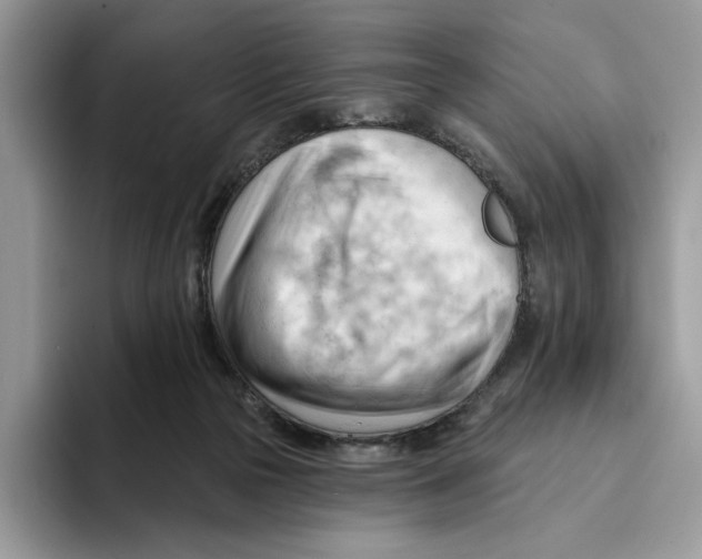 X0000093420169200711091424