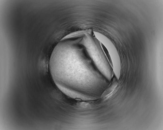 X0000093420180200711091424