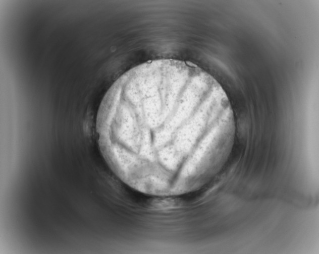 X0000093420181200711091424