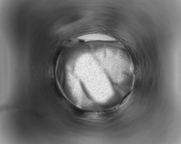 X0000093420182200711091424