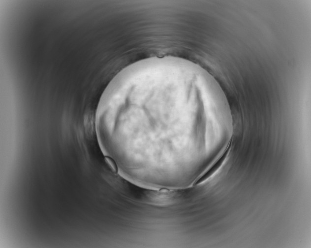 X0000093420191200711091424