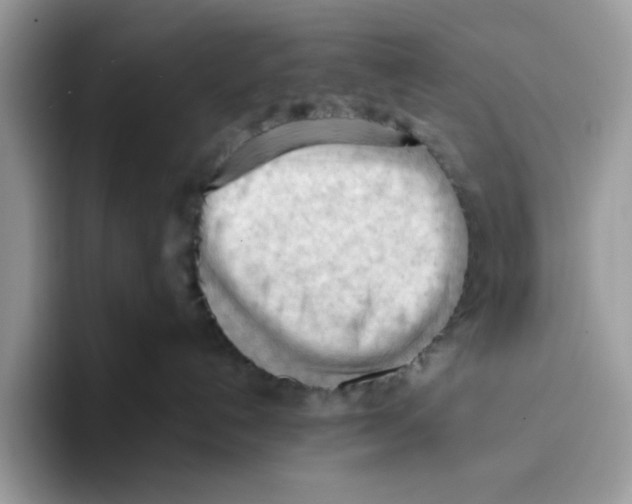 X0000093420192200711091424