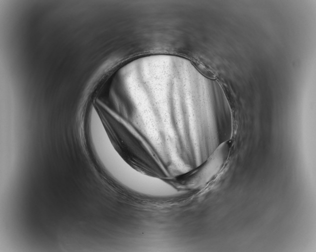 X0000093420197200711091423