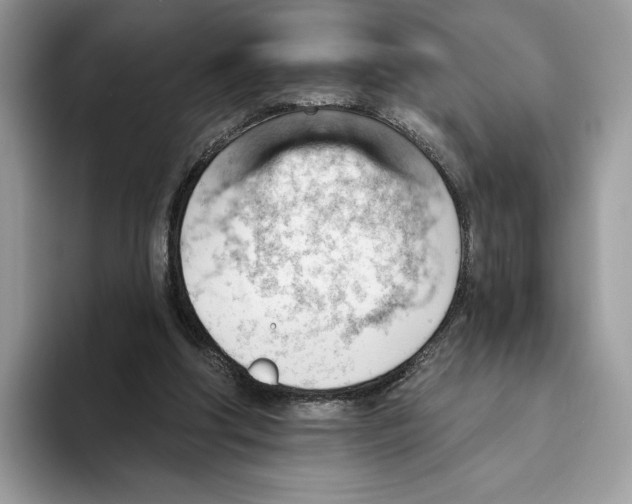 X0000093420202200711091423