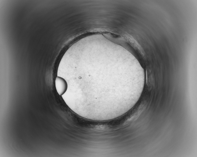 X0000093420204200711091423