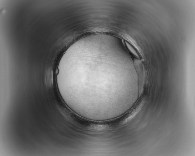 X0000093420205200711091423