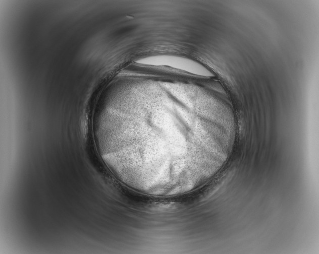 X0000093420206200711091423