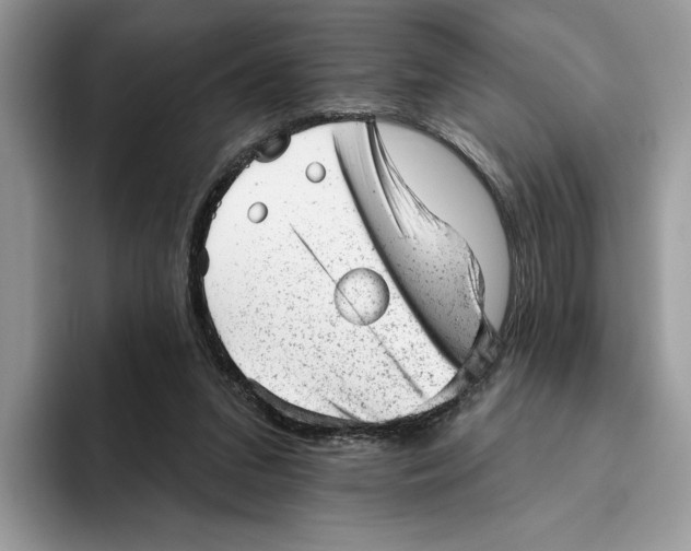 X0000093420207200711091423