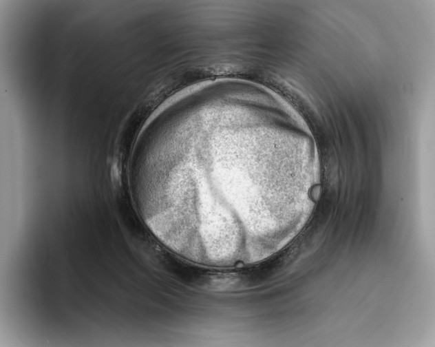 X0000093420214200711091423