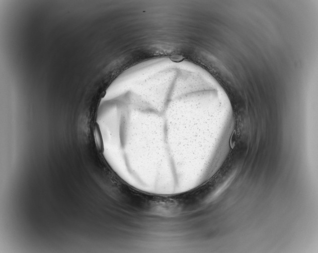 X0000093420215200711091423