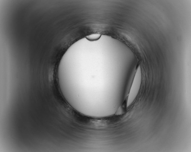 X0000093420221200711091423