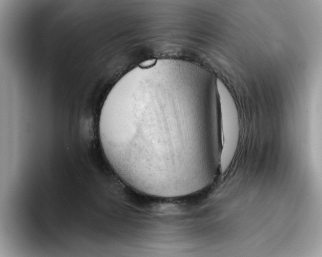 X0000093420224200711091423