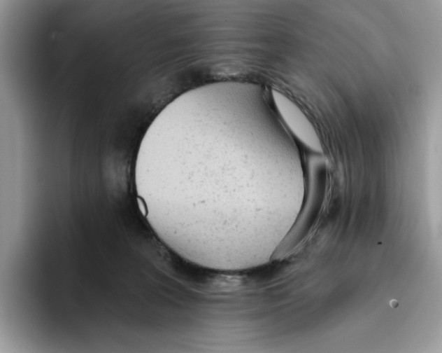 X0000093420227200711091423