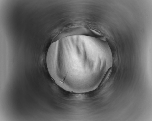 X0000093420233200711091423