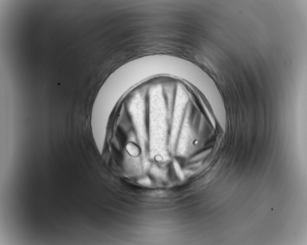 X0000093420237200711091423