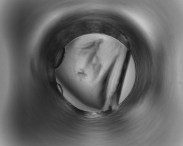 X0000093420239200711091423