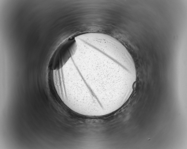 X0000093420242200711091422