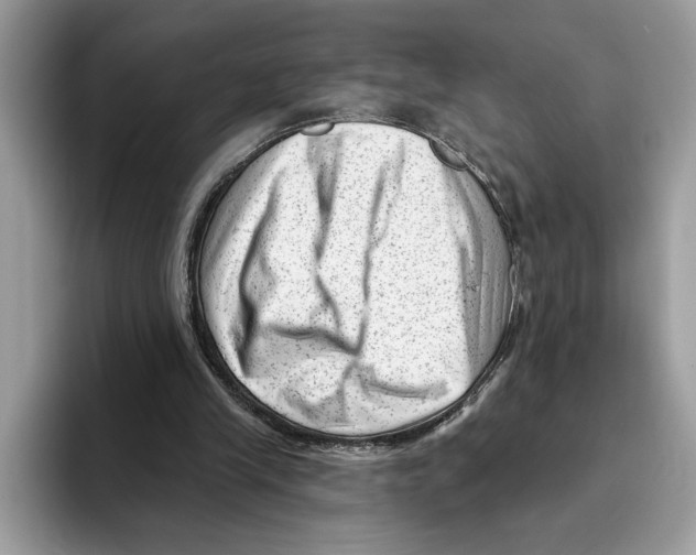 X0000093420245200711091422